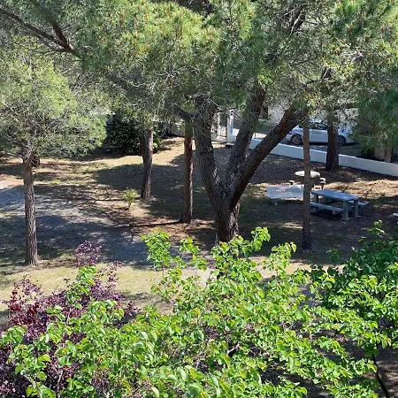 Pour 4 Pers, Proche Plage, Parking, Terrasse, Commerces A Proximite - Fr-1-81-559 Lejlighed